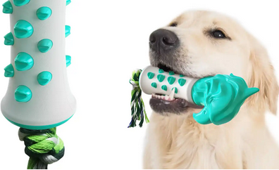 楚克奇寵物用品 多元產品線，滿足寵物全方位需求