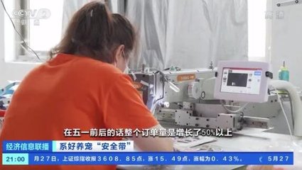 寵物犬繩銷量迎來井噴式增長 市場新藍海背后的深層邏輯與未來展望