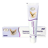 2024年十大熱門寵物用品 科技與關懷塑造養寵新趨勢